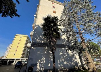 Zona - Trilocale via Varese, 27, Gallarate - foto 41