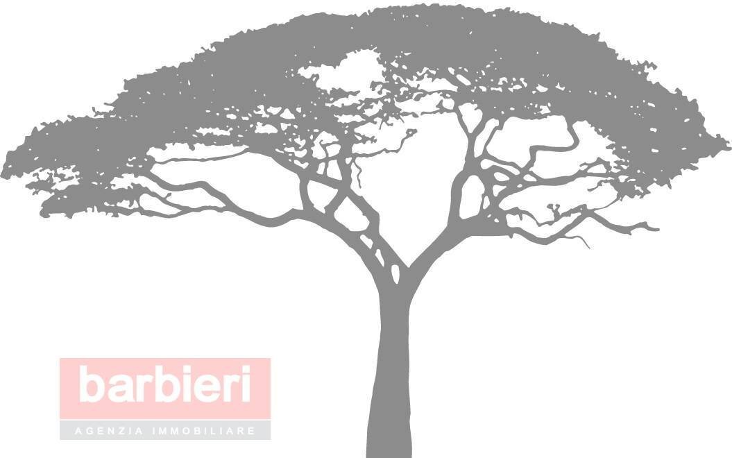 Foto 3 - Locale Commerciale Viale Volturno
 
39, Cervia - foto 3