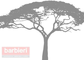 Foto 3 - Locale Commerciale Viale Volturno
 
39, Cervia - foto 3