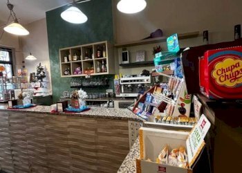 Interno non residenziale - Bar Tavola Calda - Fredda Grugliasco - foto 6