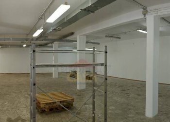 Foto 2 - Attività Commerciale Via Santeramo In Colle, Roma - foto 2