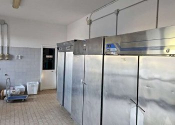 Negozio Modena - foto 29