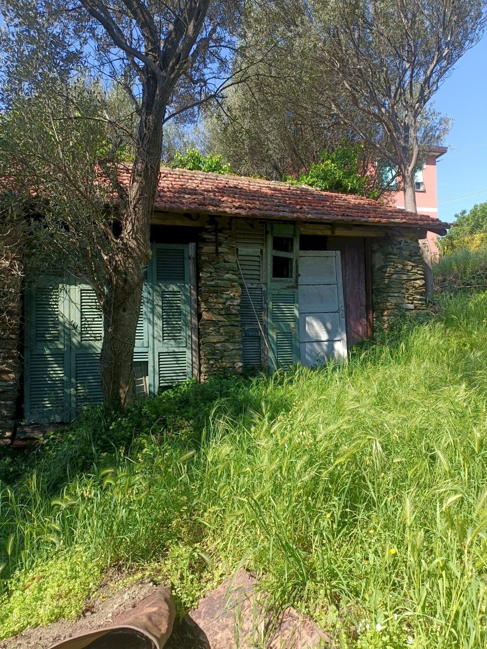 IMG20250426102209.jpg - Terreno edificabile Via Nuova Cantalupo snc, Varazze - foto 2