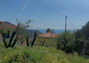 IMG20250426112441.jpg - Terreno edificabile Via Nuova Cantalupo snc, Varazze - foto 1