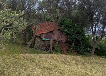 IMG20250510181505.jpg - Terreno edificabile Via Nuova Cantalupo snc, Varazze - foto 3