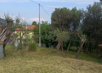 IMG20250510181514.jpg - Terreno edificabile Via Nuova Cantalupo snc, Varazze - foto 4