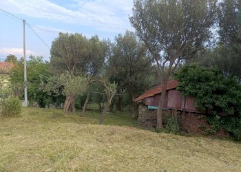 IMG20250510181517.jpg - Terreno edificabile Via Nuova Cantalupo snc, Varazze - foto 5