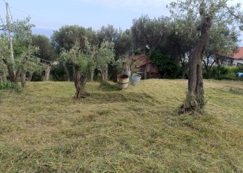 IMG20250510181540.jpg - Terreno edificabile Via Nuova Cantalupo snc, Varazze - foto 7