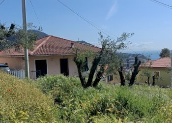 IMG20250426112443.jpg - Terreno edificabile Via Nuova Cantalupo snc, Varazze - foto 9