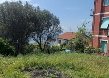 IMG20250426112445.jpg - Terreno edificabile Via Nuova Cantalupo snc, Varazze - foto 10