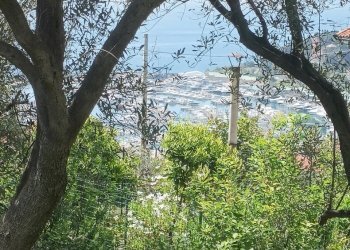 IMG20250426112502.jpg - Terreno edificabile Via Nuova Cantalupo snc, Varazze - foto 11