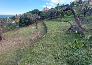 Villa Sanremo - foto 7