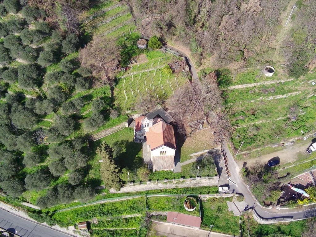 Agricultural land Str. Poggio Radino, Sanremo - photo 2