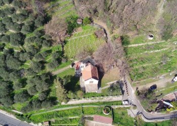 Agricultural land Str. Poggio Radino, Sanremo - photo 2