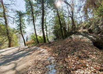 Agricultural land Str. Poggio Radino, Sanremo - photo 4