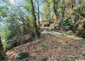 Agricultural land Str. Poggio Radino, Sanremo - photo 5