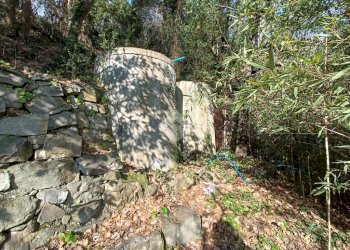 Agricultural land Str. Poggio Radino, Sanremo - photo 7