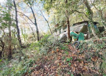 Agricultural land Str. Poggio Radino, Sanremo - photo 19