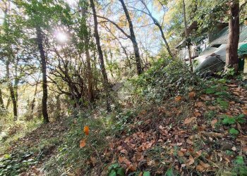 Agricultural land Str. Poggio Radino, Sanremo - photo 20