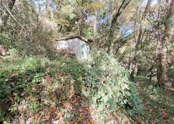 Agricultural land Str. Poggio Radino, Sanremo - photo 21