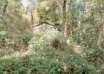 Agricultural land Str. Poggio Radino, Sanremo - photo 22