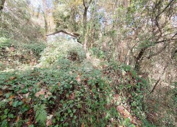 Agricultural land Str. Poggio Radino, Sanremo - photo 23
