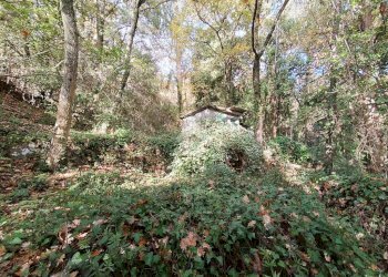 Agricultural land Str. Poggio Radino, Sanremo - photo 24