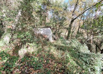 Agricultural land Str. Poggio Radino, Sanremo - photo 25