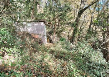 Agricultural land Str. Poggio Radino, Sanremo - photo 26