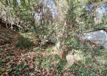 Agricultural land Str. Poggio Radino, Sanremo - photo 27