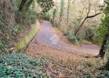 Agricultural land Str. Poggio Radino, Sanremo - photo 28