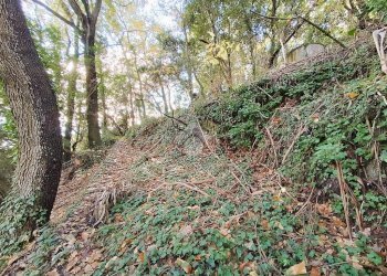 Agricultural land Str. Poggio Radino, Sanremo - photo 29