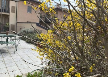 Stabile - Palazzo Torino - foto 16