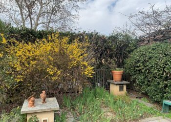 Stabile - Palazzo Torino - foto 21