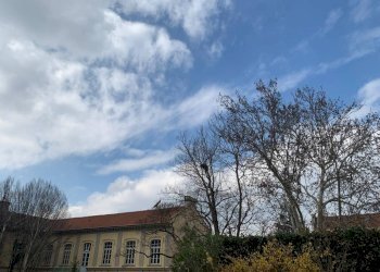 Stabile - Palazzo Torino - foto 22