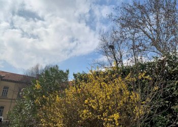 Stabile - Palazzo Torino - foto 23