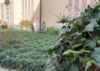 Stabile - Palazzo Torino - foto 25