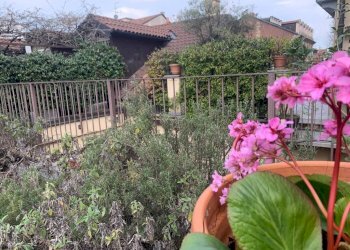 Stabile - Palazzo Torino - foto 26