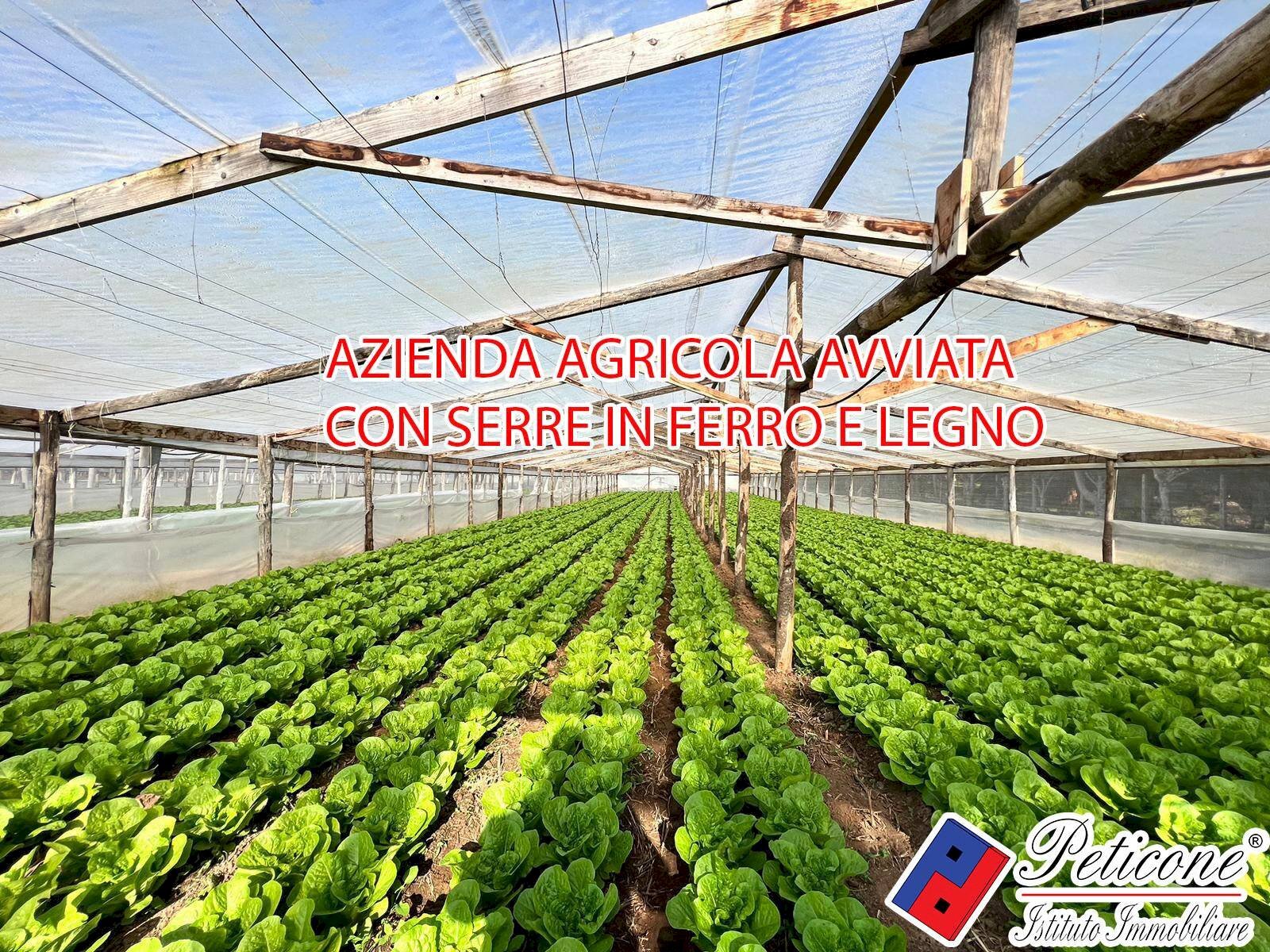 Foto 1 - Terreno agricolo VIA ANNA MASCHIETTO, Fondi - foto 1