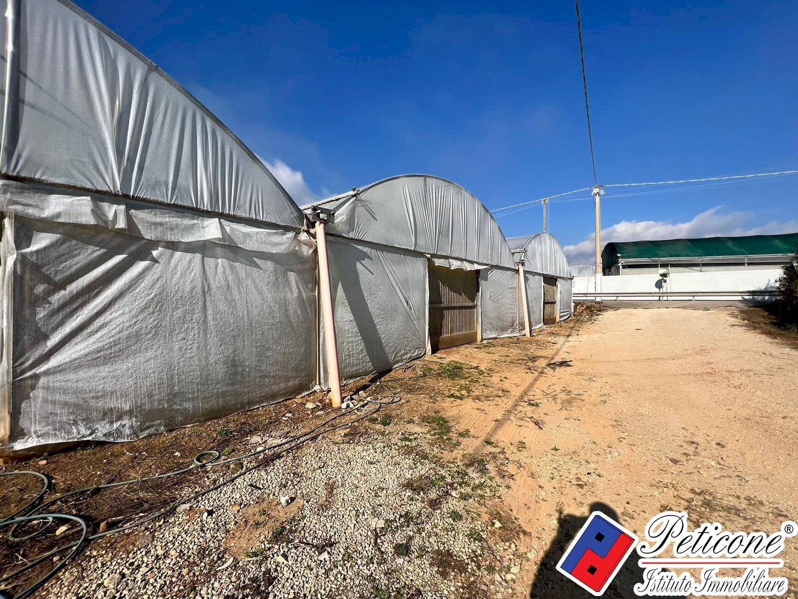 Foto 2 - Terreno agricolo VIA ANNA MASCHIETTO, Fondi - foto 2