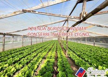 Foto 1 - Agricultural land VIA ANNA MASCHIETTO, Fondi - photo 1