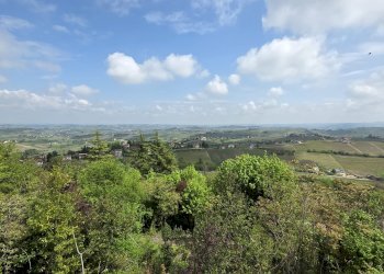 Rustic via Angelo Brofferio, Calosso - photo 43