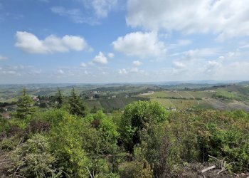 Rustic via Angelo Brofferio, Calosso - photo 44