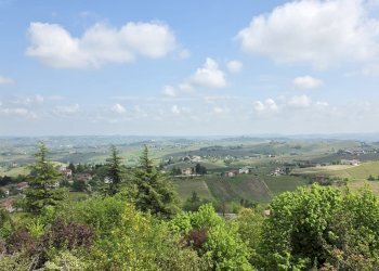 Rustic via Angelo Brofferio, Calosso - photo 46