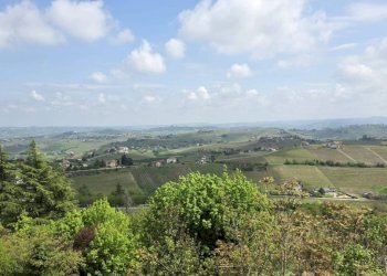 Vista - Rustico via Angelo Brofferio, Calosso - foto 10