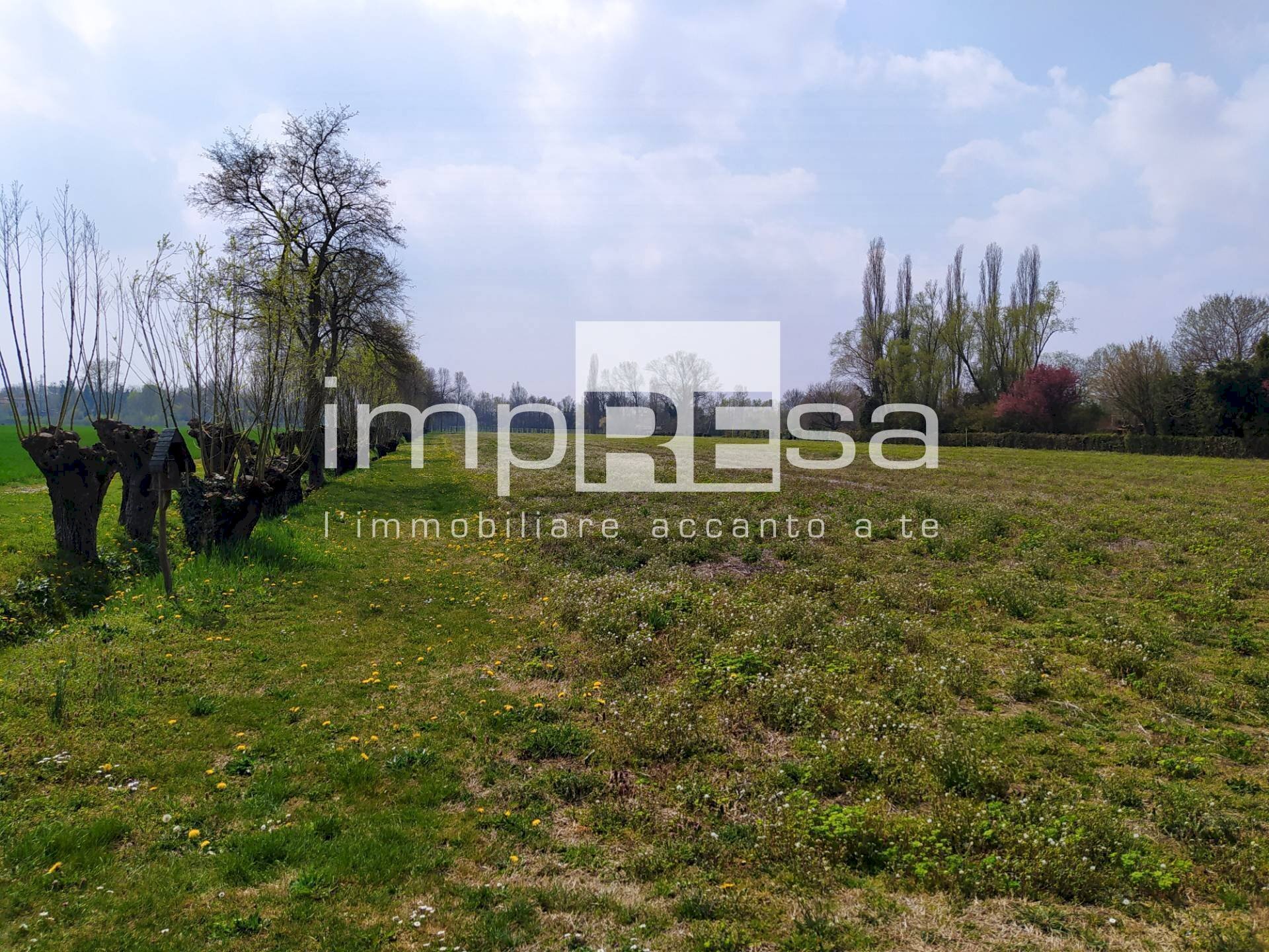 Foto 2 - Terreno edificabile Via San Cipriano, Roncade - foto 2