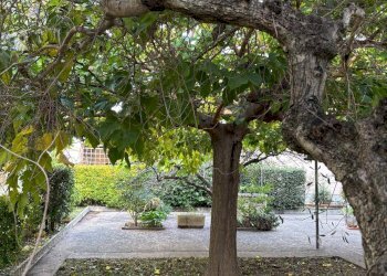 Foto 56 - Villa Pisa - foto 56