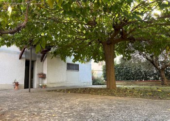 Foto 60 - Villa Pisa - foto 60