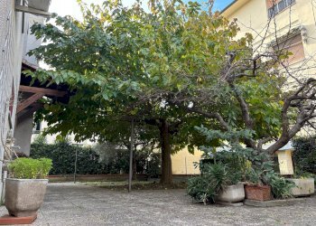 Foto 68 - Villa Pisa - foto 68