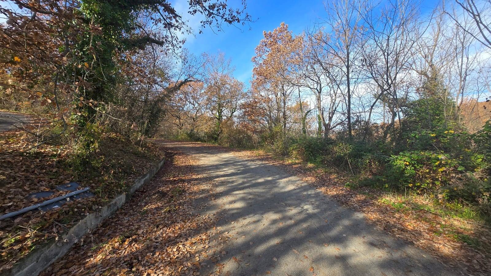 Foto 1 - Terreno agricolo C/da Cipollara, Castelvetere sul Calore - foto 1